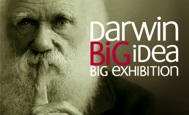Darwin Big Idea Exhibition