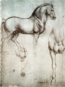 Sketches of a horse by Leonardo da Vinci