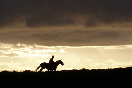 Silhouette of horse and rider in the countryside