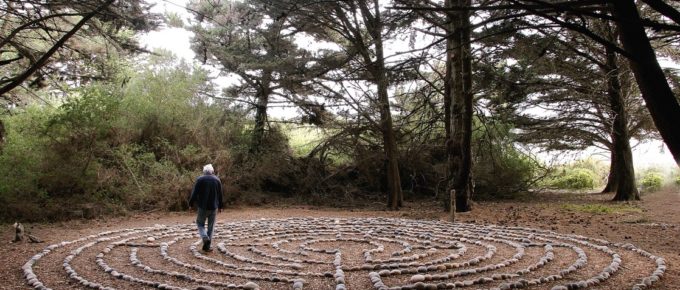 Someone walking through a maze marked on a forest floor