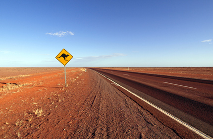 Road in Australian outback with kangaroo warning sign